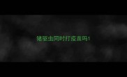 猪驱虫同时打疫苗吗