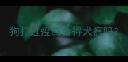 狗打过疫苗会得犬瘟吗