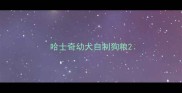哈士奇幼犬自制狗粮