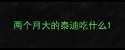 两个月大的泰迪吃什么