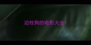 边牧狗的电影大全
