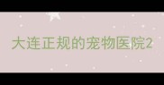 大连正规的宠物医院