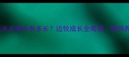 边境牧羊犬寿命有多长边牧成长全周期附饲养指南