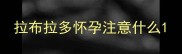 拉布拉多怀孕注意什么