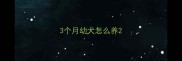3个月幼犬怎么养