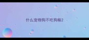 什么宠物狗不吃狗粮