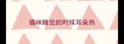 猫咪睡觉的时候耳朵热