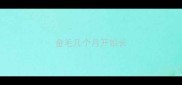 金毛几个月开始长