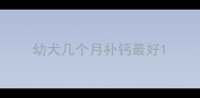 幼犬几个月补钙最好