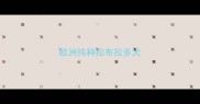 欧洲纯种拉布拉多犬