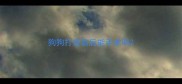 狗狗打疫苗后能手术吗