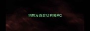 狗狗发烧症状有哪些