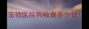 宠物医院狗检查多少钱
