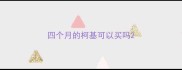 四个月的柯基可以买吗