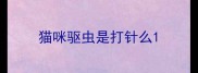 猫咪驱虫是打针么