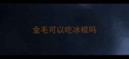 金毛可以吃冰棍吗
