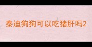 泰迪狗狗可以吃猪肝吗