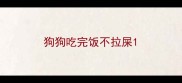 狗狗吃完饭不拉屎