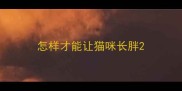 怎样才能让猫咪长胖
