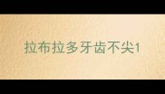 拉布拉多牙齿不尖