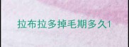 拉布拉多掉毛期多久