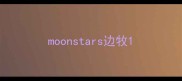 moonstars边牧