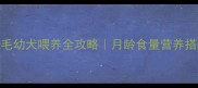 三个月金毛幼犬喂养全攻略月龄食量营养搭配避坑指南