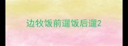 边牧饭前遛饭后遛