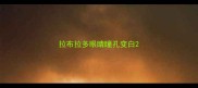 拉布拉多眼睛瞳孔变白