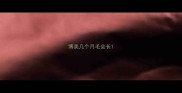 博美几个月毛会长