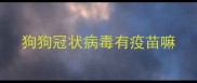 狗狗冠状病毒有疫苗嘛