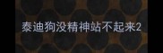 泰迪狗没精神站不起来
