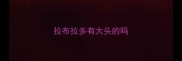 拉布拉多有大头的吗