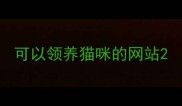可以领养猫咪的网站