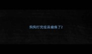 狗狗打完疫苗瘫痪了