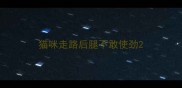 猫咪走路后腿不敢使劲