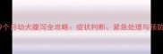边牧9个月幼犬腹泻全攻略症状判断紧急处理与预防指南