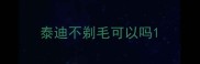 泰迪不剃毛可以吗