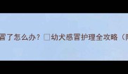 狗狗疫苗后感冒了怎么办幼犬感冒护理全攻略附用药指南