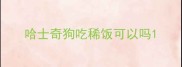 哈士奇狗吃稀饭可以吗