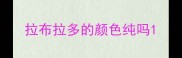 拉布拉多的颜色纯吗