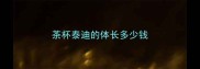 茶杯泰迪的体长多少钱