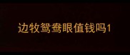 边牧鸳鸯眼值钱吗