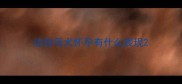 边牧母犬怀孕有什么表现