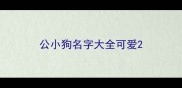 公小狗名字大全可爱
