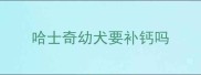 哈士奇幼犬要补钙吗