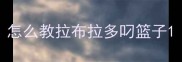 怎么教拉布拉多叼篮子