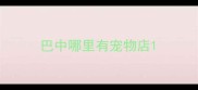 巴中哪里有宠物店