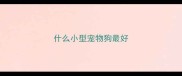 什么小型宠物狗最好