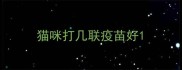 猫咪打几联疫苗好
